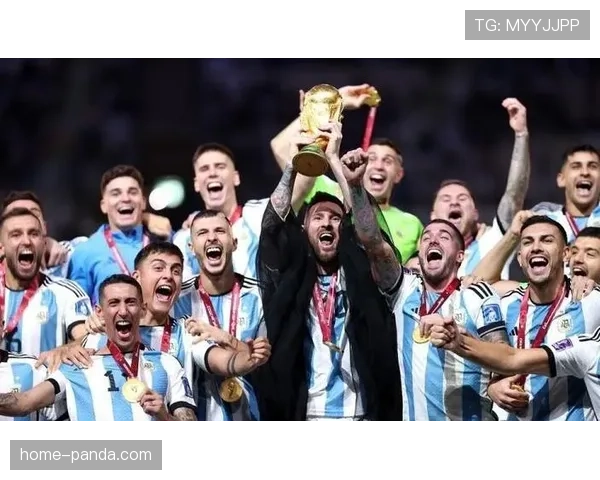2026世界杯48队分12组每组4队的赛制规则是什么 2026世界杯48队分12组每组4队的赛制规则是什么